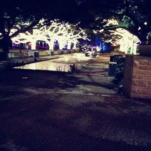 Meet your Posher, Tevis